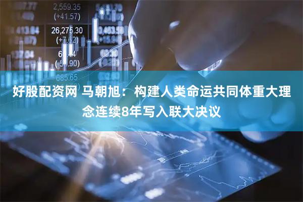 好股配资网 马朝旭：构建人类命运共同体重大理念连续8年写入联大决议