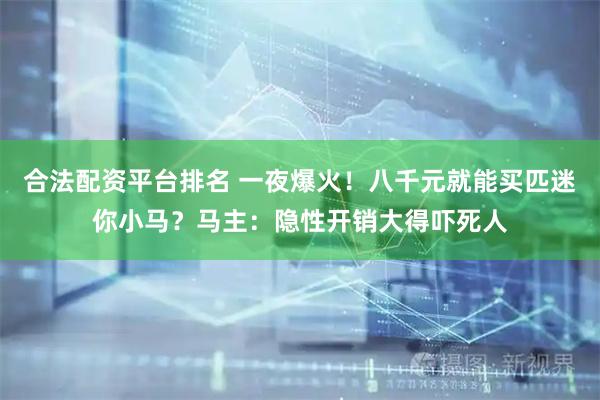 合法配资平台排名 一夜爆火！八千元就能买匹迷你小马？马主：隐性开销大得吓死人